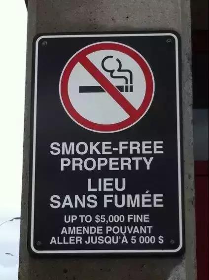 看到‘smoke-free’的标志，到底能不能吸烟？