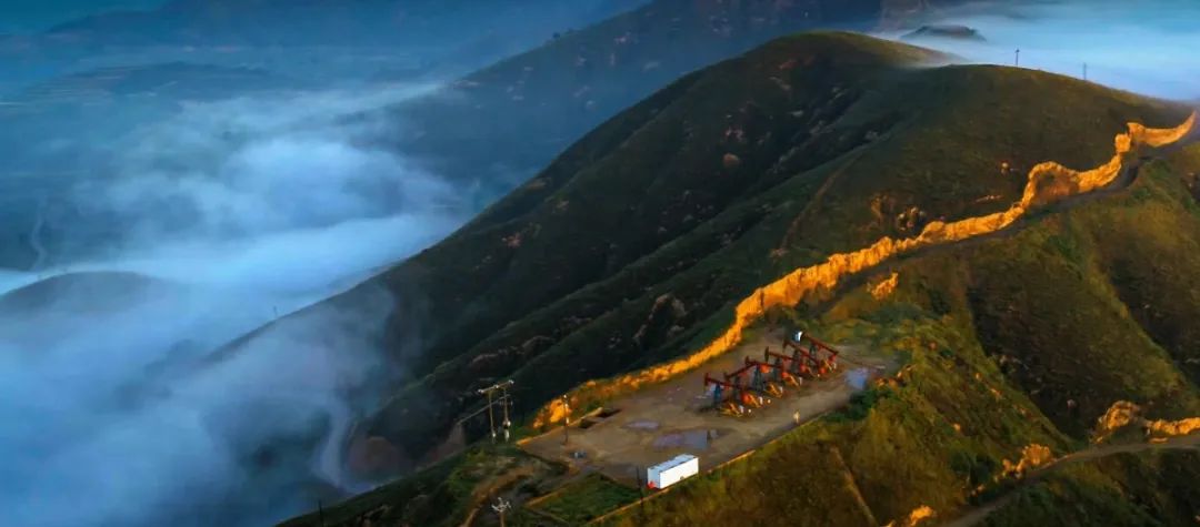 【官微会客厅·厂长面对面】低油价下提交的大厂“样本”!