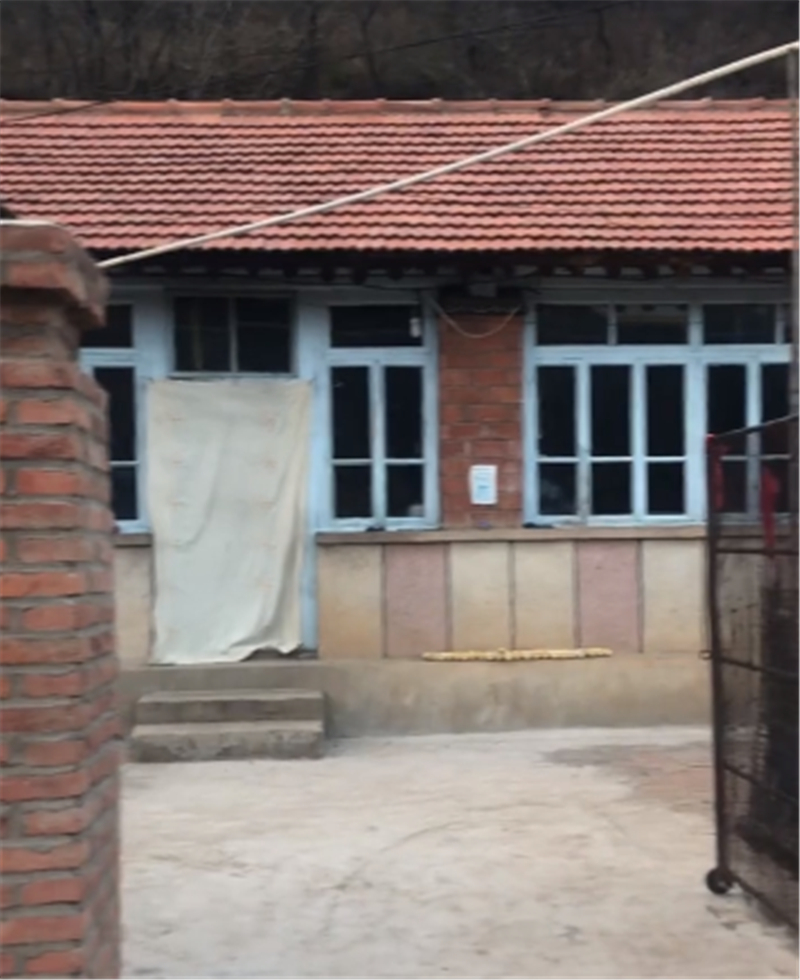 蔡萝莉爆红视频,蔡萝莉转型成功