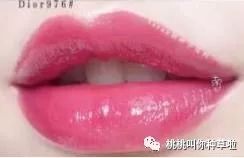 dp口红推荐,平价小众细闪口红