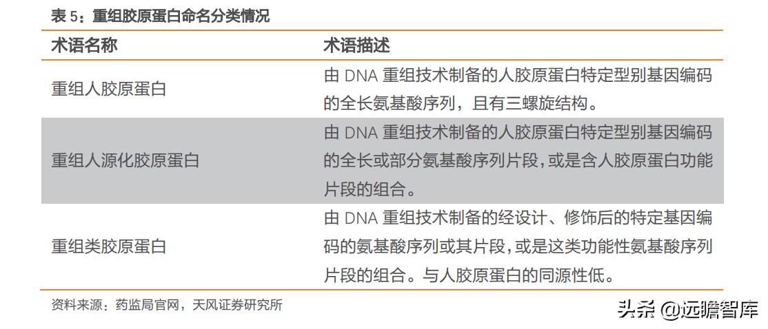 重组胶原蛋白未来趋势,胶原蛋白重组是高端产业吗