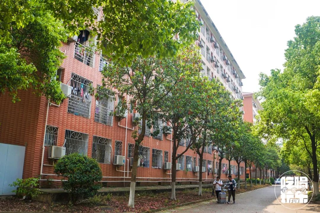 长沙民政学院位置好吗,长沙民政学院是干啥的