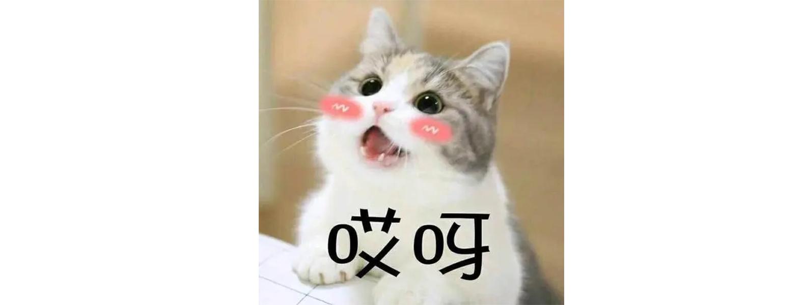 平时不化妆的女生适合哪款素颜霜,好用不脱妆不暗沉的素颜霜