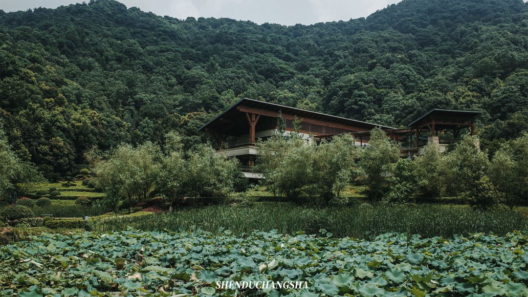 长沙秋季旅游景点推荐,长沙旅游攻略必玩的十大景点推荐