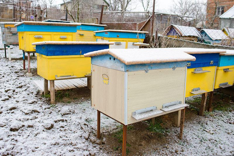 暖冬对农业的影响有哪些,暖冬对气候影响