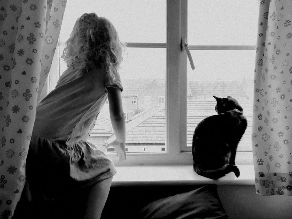 华为新影像大赛9张图,2019华为新影像大赛