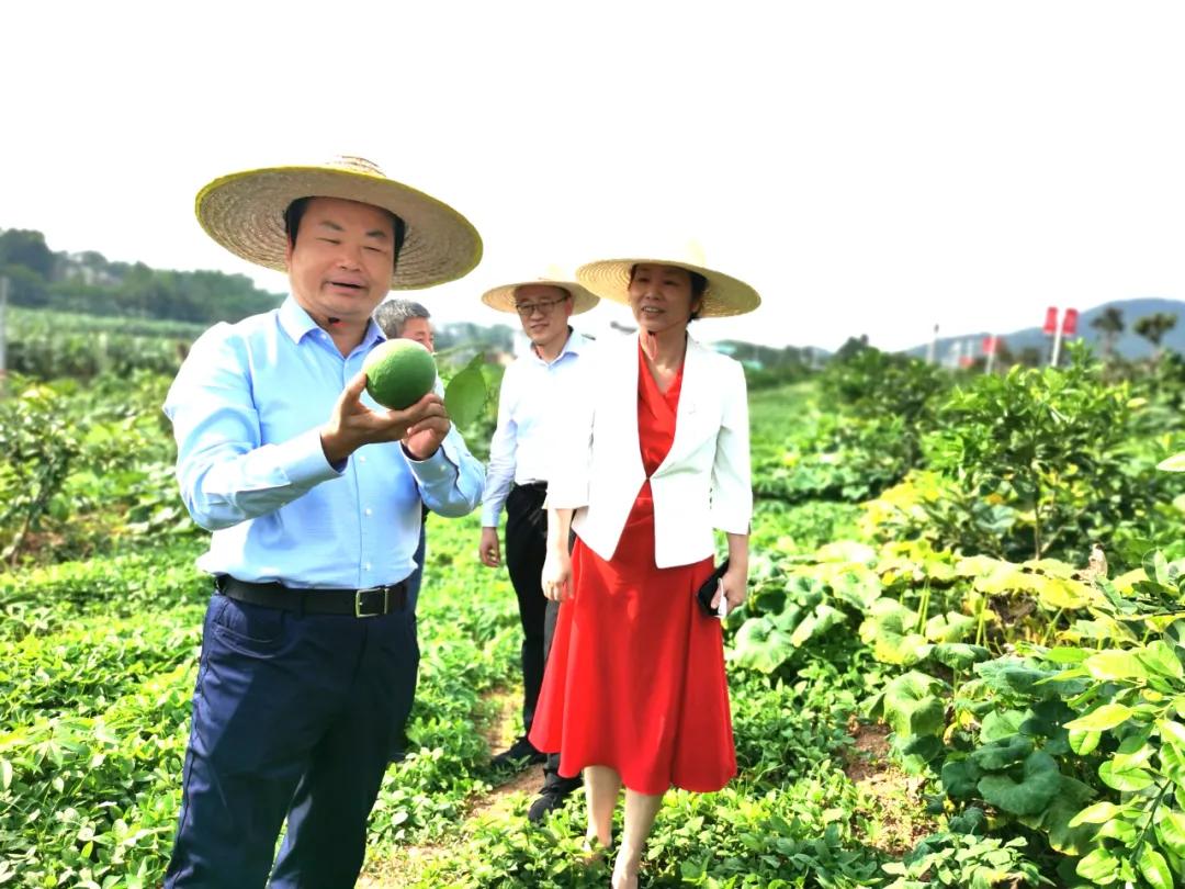 广药集团李楚源,李楚源劳动模范