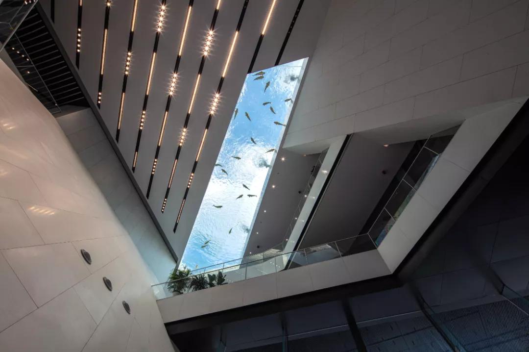 太平鸟时尚中心景观设计,自由的鸟巢