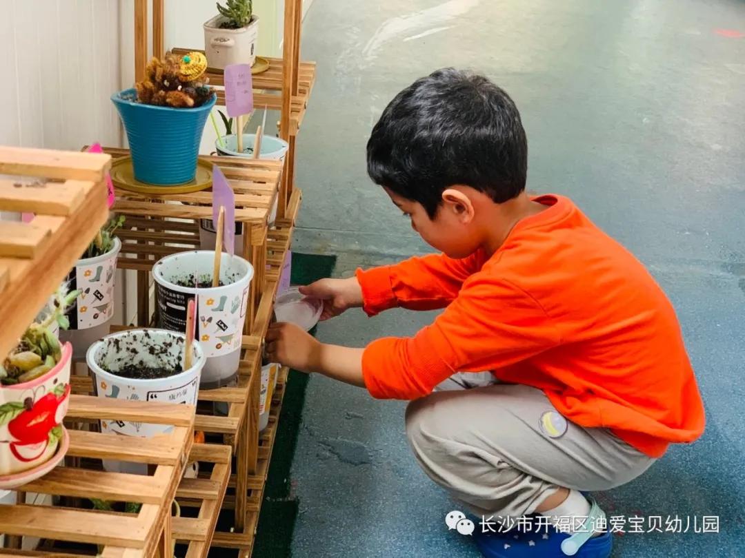 诺亚舟幼儿园,诺亚舟幼儿园里欢乐多