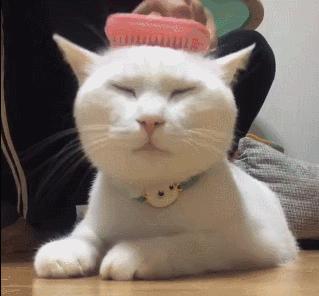 头发养护基础篇：史上最全洗头教程，告诉你如何正确的洗头