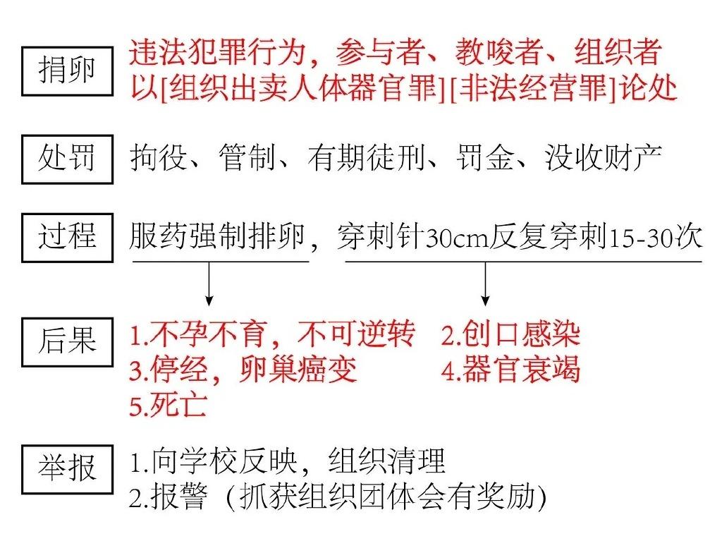 捐卵黑幕,捐卵骗局真人