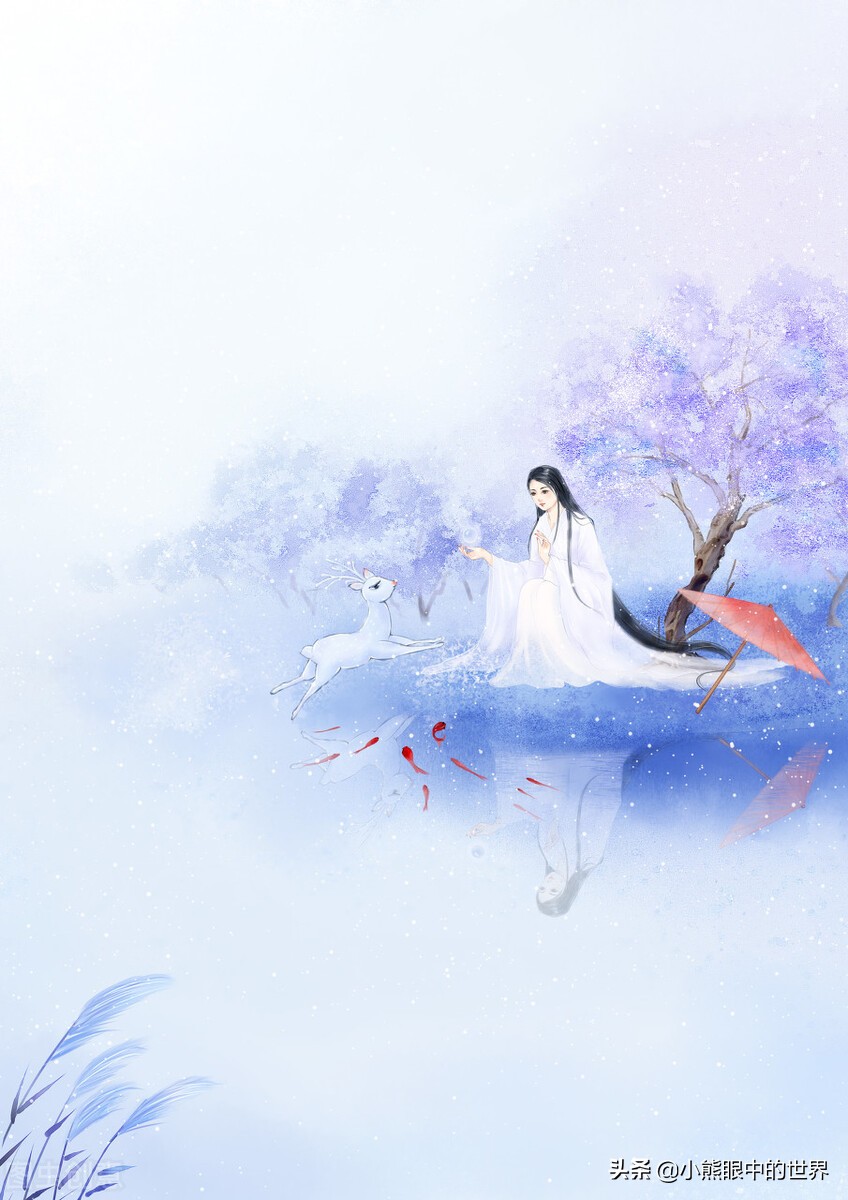 问镜小说,问镜小说好看么