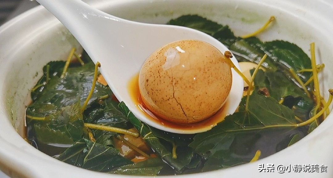 桑叶全身都是宝也被称之为神仙叶,小小的一片桑叶营养价值这么高