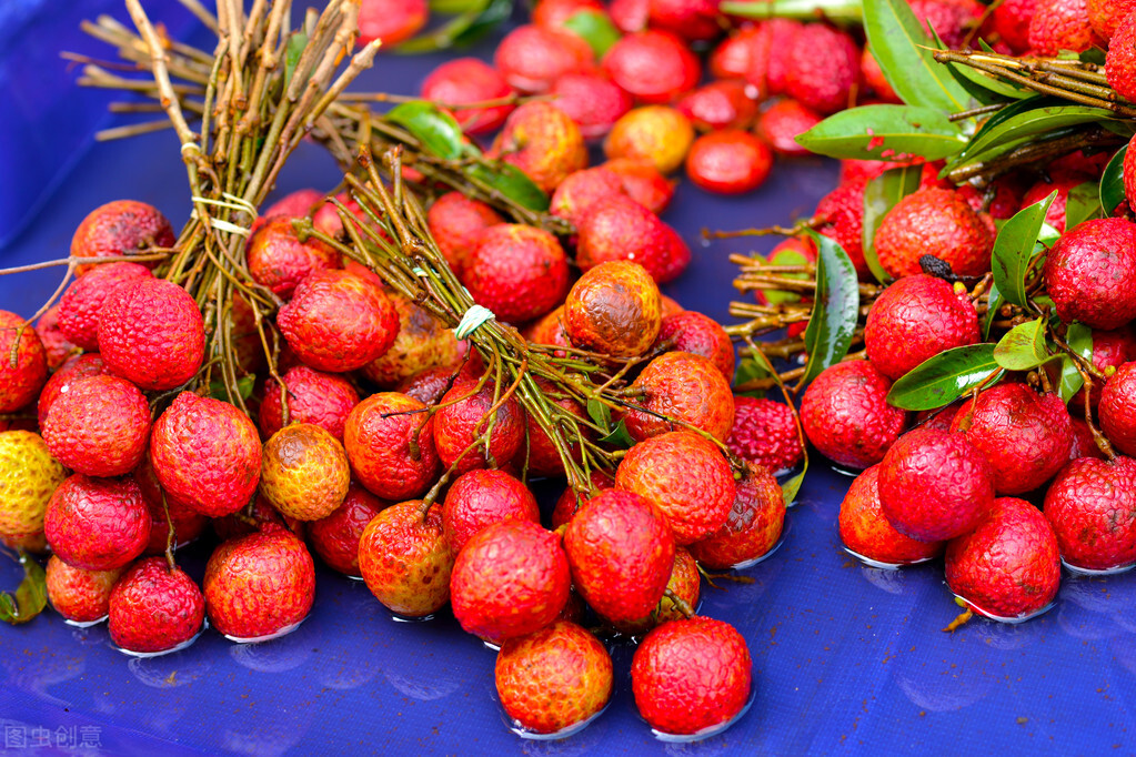 荔枝快坏了怎么办,怎样判断荔枝已经坏掉不能食用