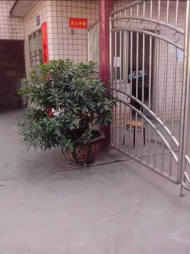 离婚后的生活男人如何度过,离婚后重新开始生活的句子