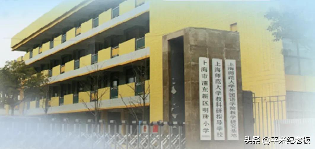 打鸡血教育,上海的鸡血教育真的好吗