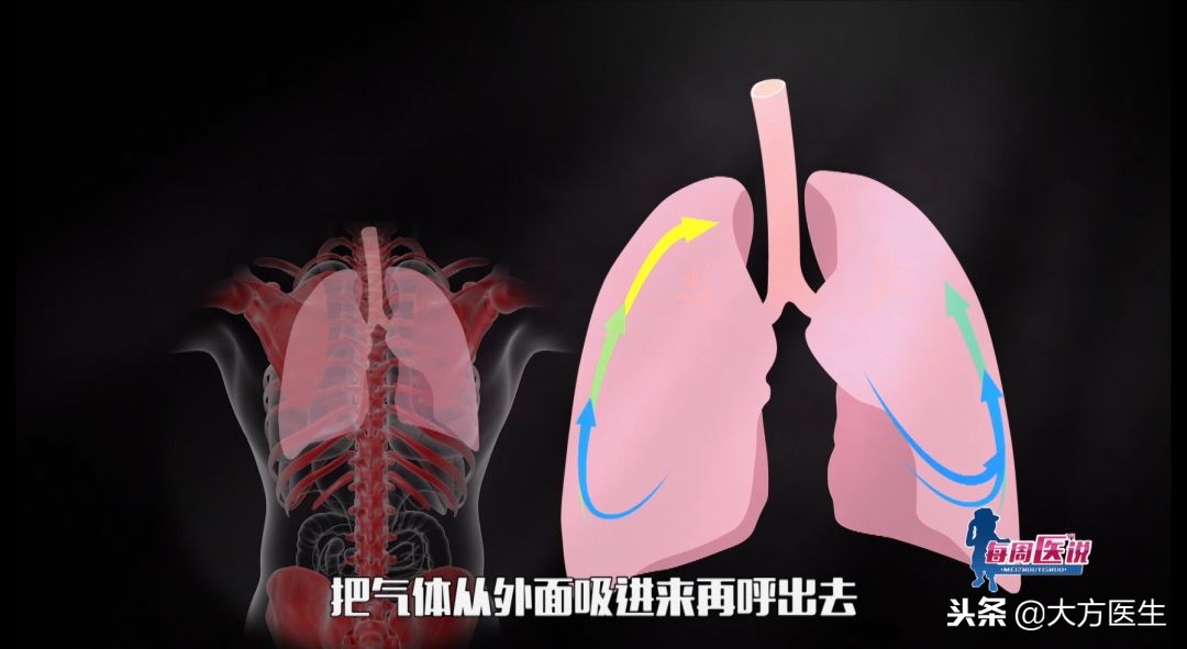 胸片没事排除肺病吗,胸片没事是不是可以排除肺炎