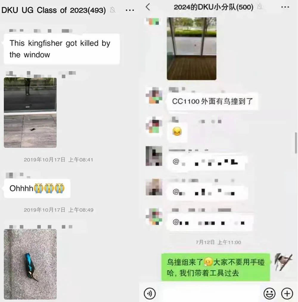 全世界的鸟,全世界的鸟类