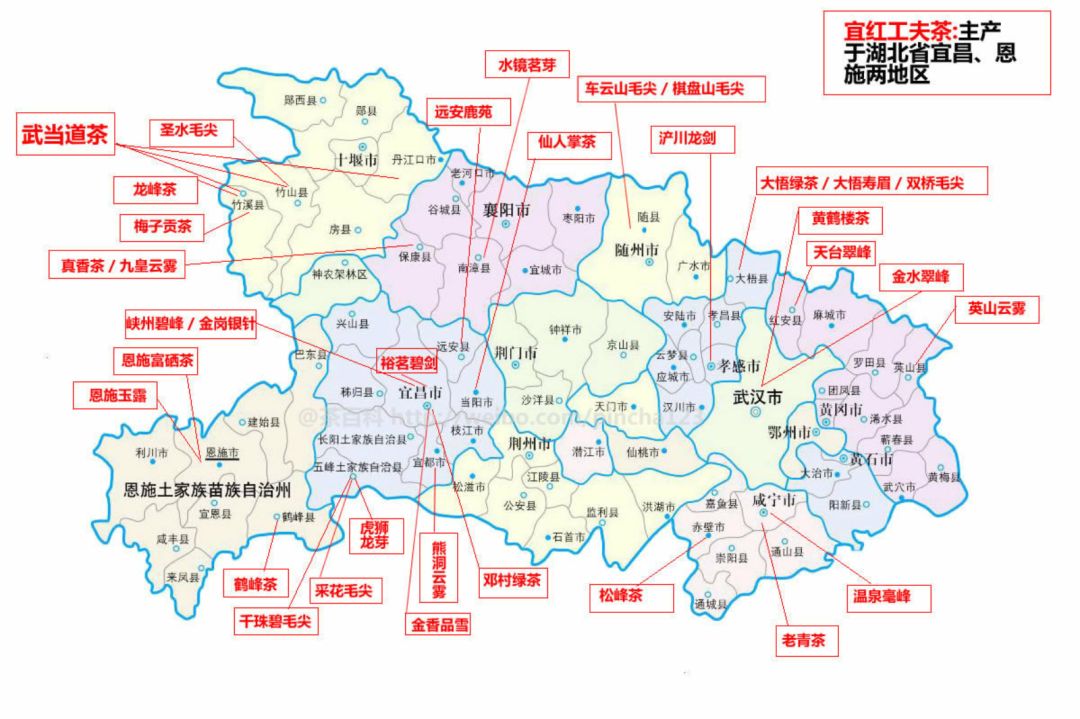 湖北名茶品种,待疫情结束我们去看春暖花开