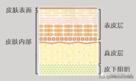 bbc沙棘面霜 (老爸评测bbc面霜)