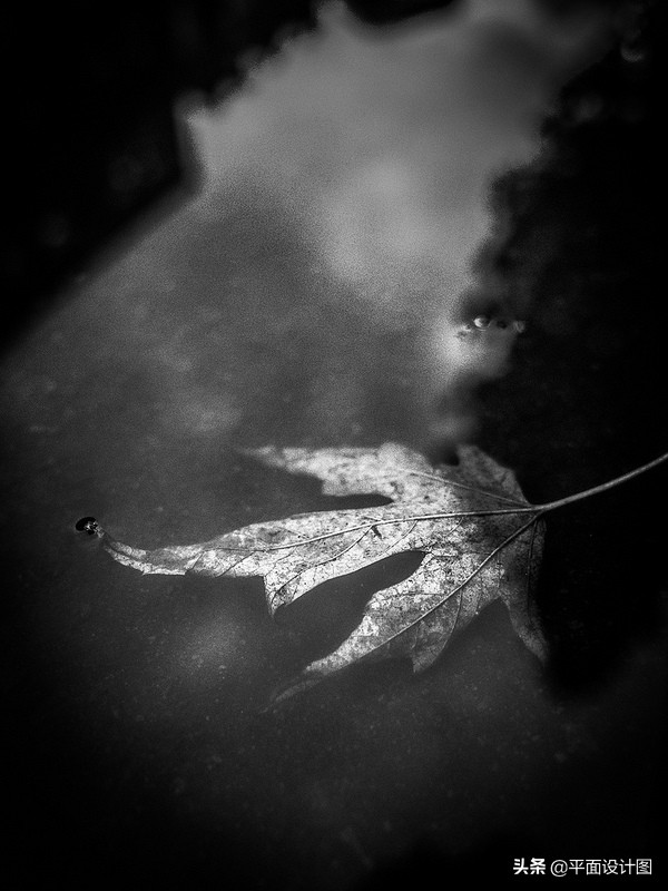 经典延续RicohGR海外长期使用心得