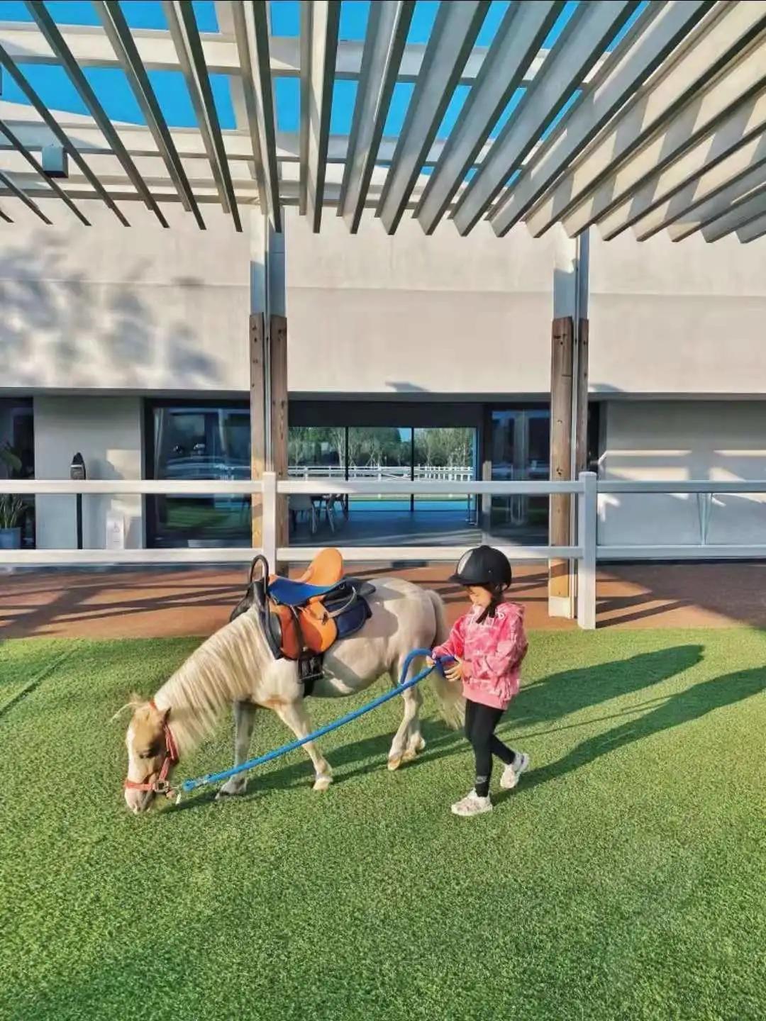 秦皇岛昌黎马术俱乐部,秦皇岛马术训练营