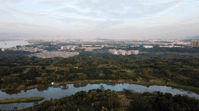 普宁最繁华中心,普宁商贾名城