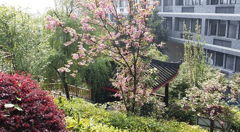 初中生怎么选择铁路学校,铁路高中学校怎么选