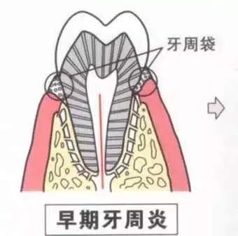 helen鐗欑,Helen榻跨涓績