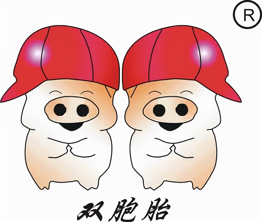 我在双胞胎集团的点点滴滴