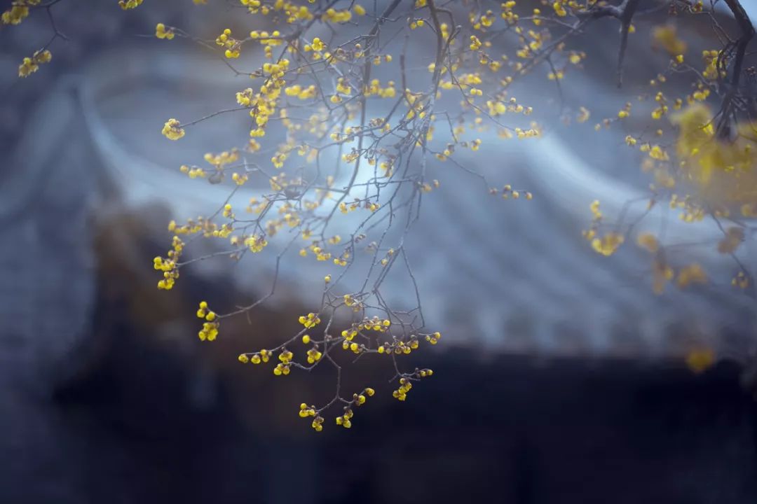 深圳到普陀山自驾游攻略最佳路线,2020普陀山奇异景象