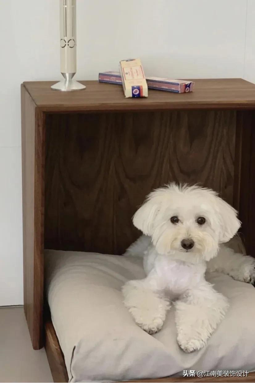 没有阳台的房子养宠物怎么装修,家里养宠物该怎么装修