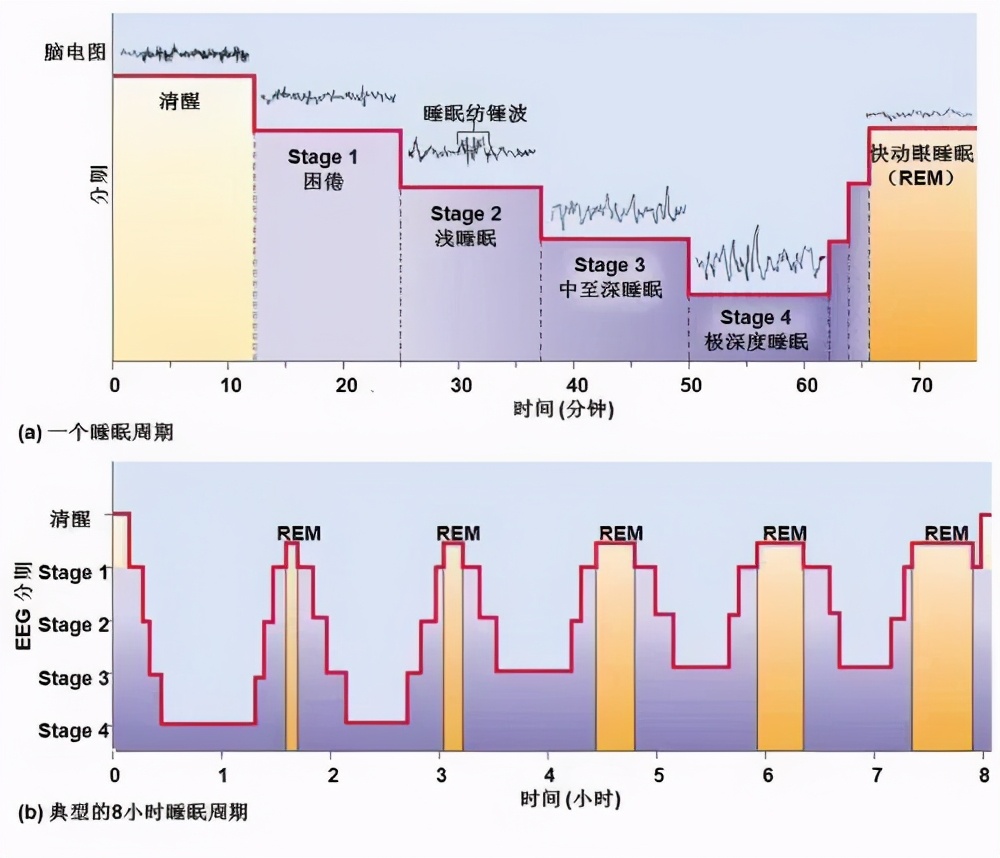 孩子上课状态差怎么办,孩子上课无法集中精力学习怎么办