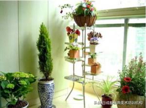 室内绿化小品,室内绿化造景小知识