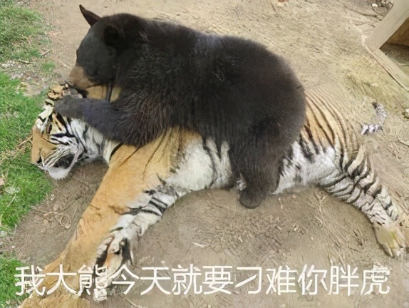 紧张想上厕所是什么原因,考试紧张想上厕所吃什么能缓解