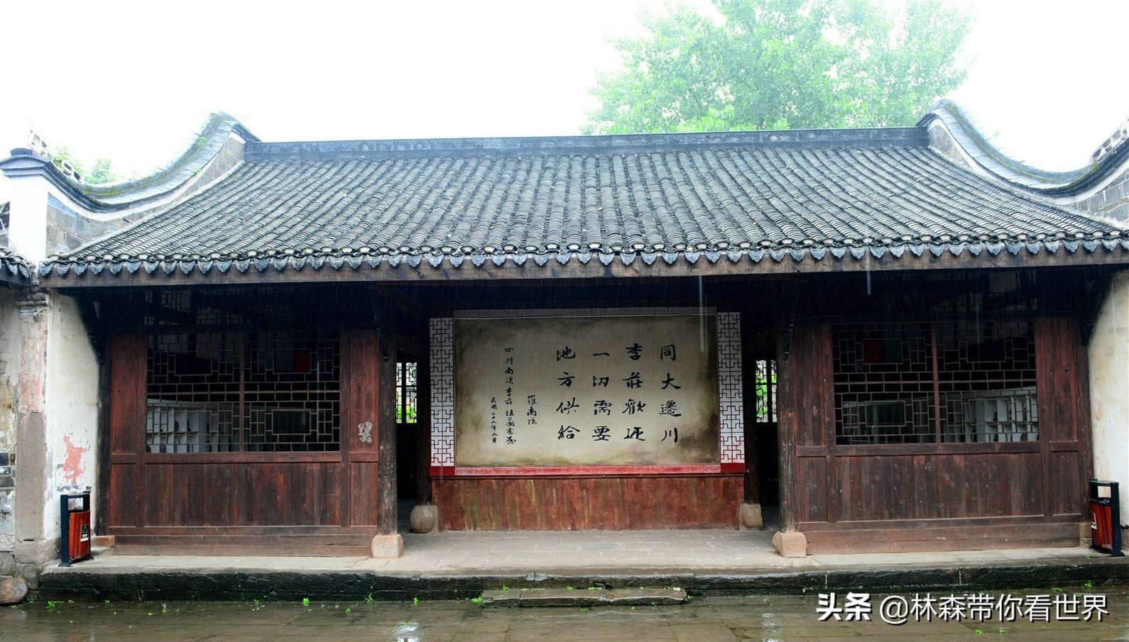 林森完整版免费观看,林森完整视频