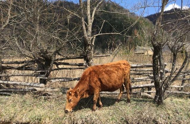 西安隐藏在大山里的世外桃源,西安秦岭深山风景
