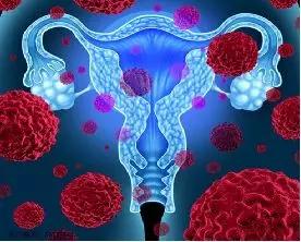 吃糖会导致子宫衰老吗,多吃糖会加速衰老吗