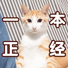 pdd洗面奶推荐学生平价油皮痘痘肌,推荐一些平价又好用的洗面奶