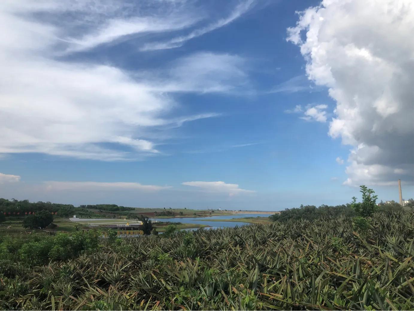 与西藏的不解之缘,与甘肃的不解之缘