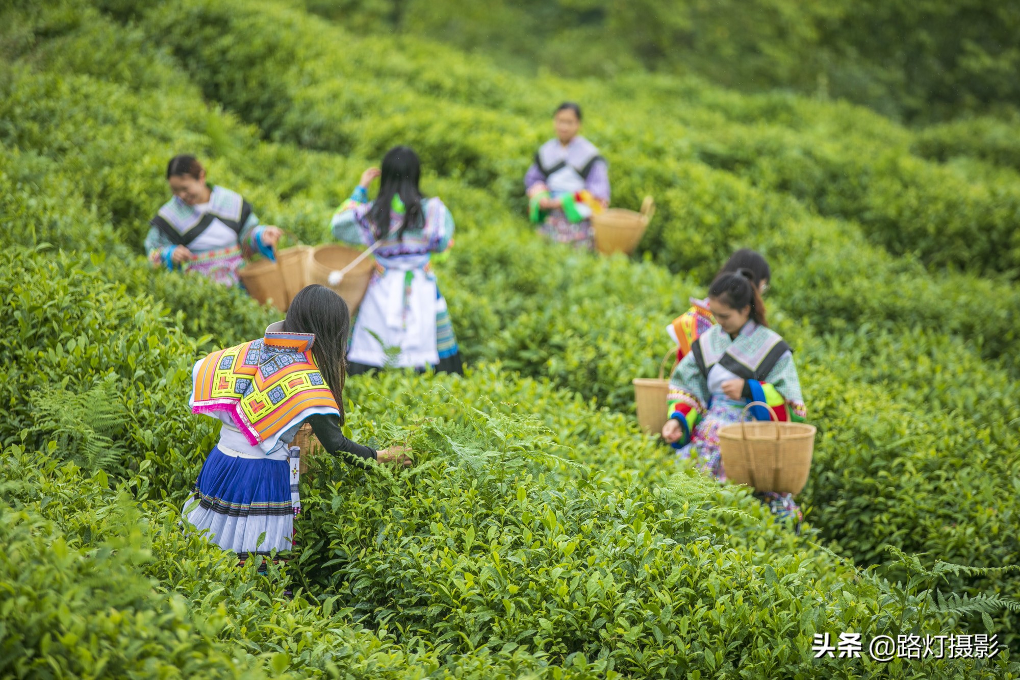 夏天最凉爽的5个避暑城市,夏季最值得去的十大避暑城市