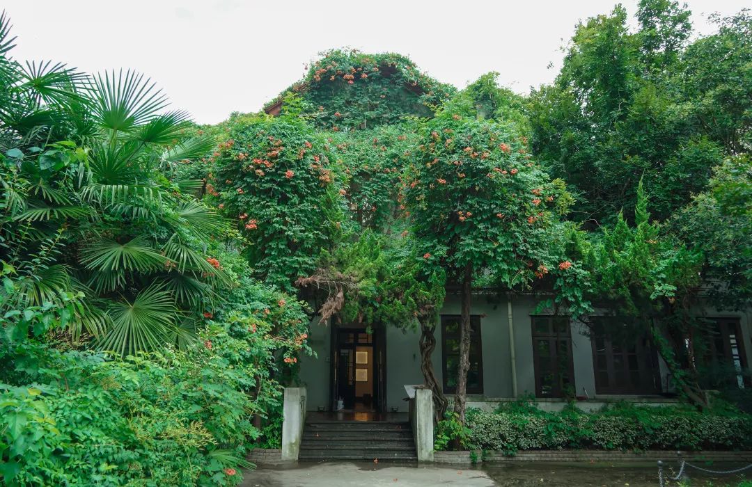 趣办空间|临窗观草木,*情纵**山水间:趣办@长乐路