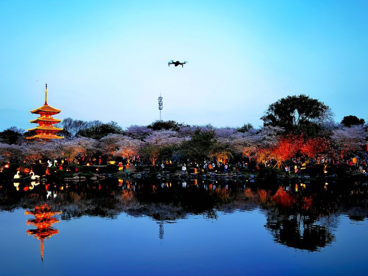 鑻遍泟褰掓潵妯辫姳鏈夌害,妯辫姳鐩涘紑鑻遍泟褰掓潵瀹屾暣瑙嗛