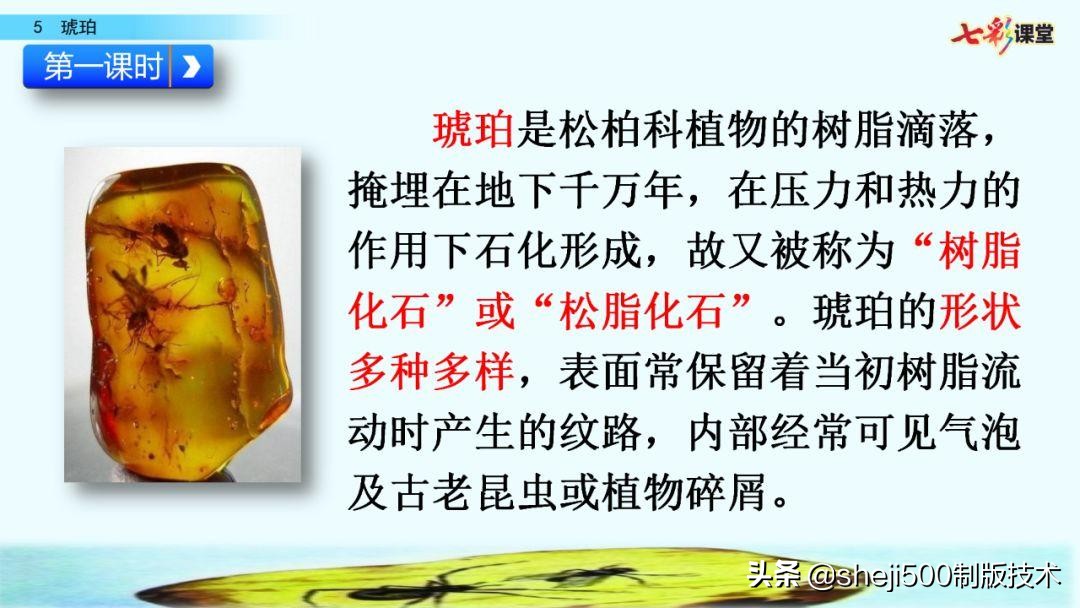 四年级语文下册第5课琥珀知识点,语文书四年级下册琥珀预习分段