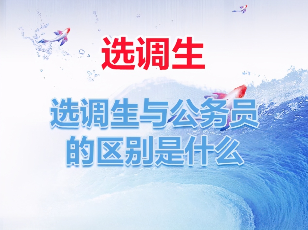 报考公务员选调生有哪些条件要求,公务员报考选调生有什么要求