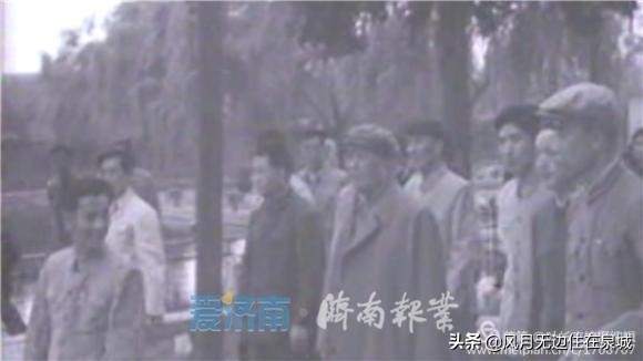 济南秋天的法国梧桐,济南一颗梧桐树