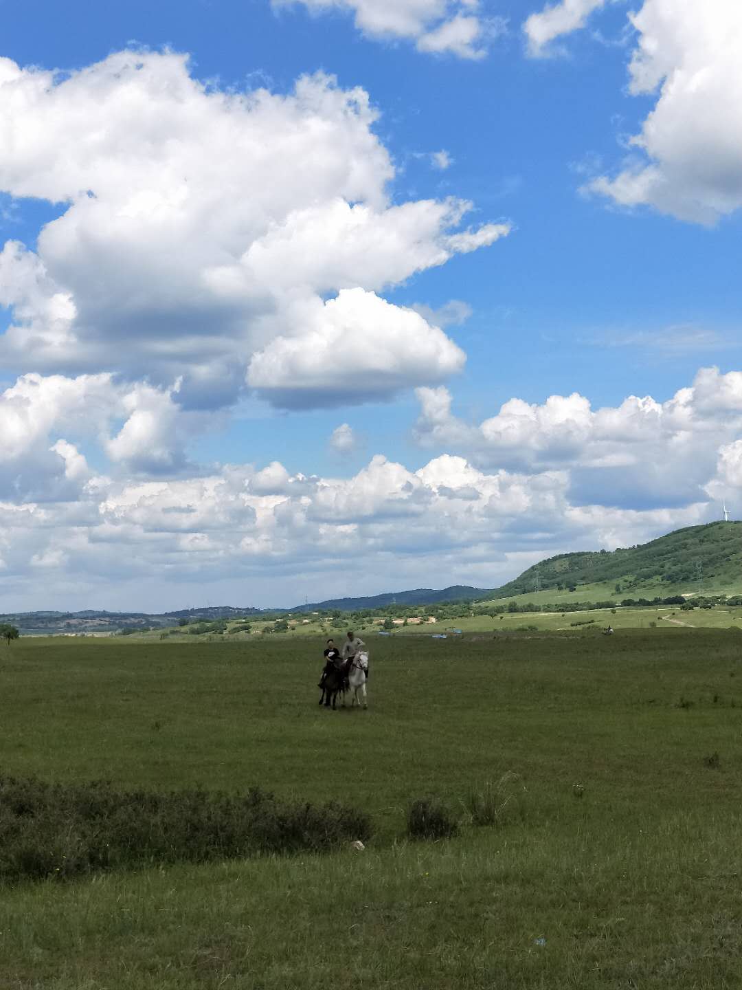 宅家又如何？翻开相册！浙大学子带你进行回忆式线上旅游！