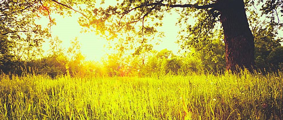 40多天宝宝便血,纯母乳宝宝便血是怎么回事