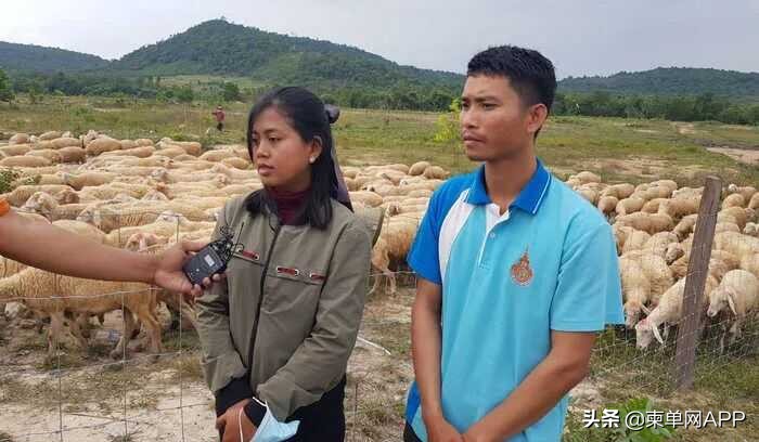 中国人在柬埔寨月入过万,柬埔寨人一般收入靠什么