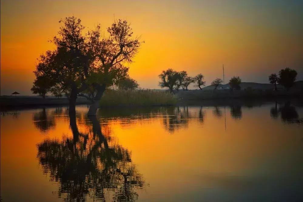 北疆的美完整版,北疆的景最美